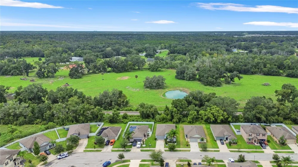 2979 MOULDEN HOLLOW DRIVE Zephyrhills, FL 33540