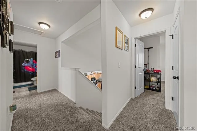 949 Ashbrook Drive Windsor, CO 80550