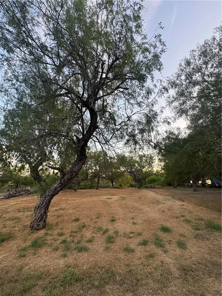 Laurie Ln Mathis, TX 78368