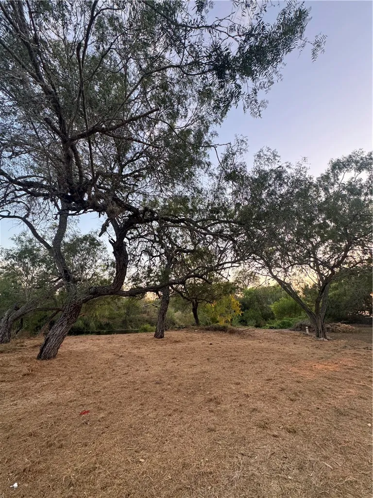 Laurie Ln Mathis, TX 78368