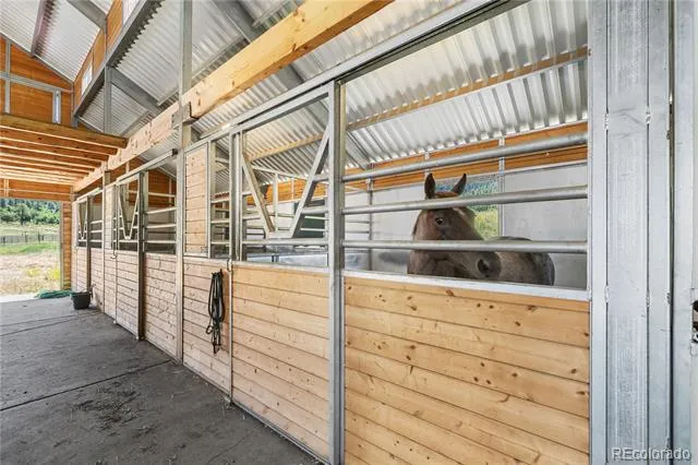 1134 Parelli Institute Drive Pagosa Springs, CO 81147
