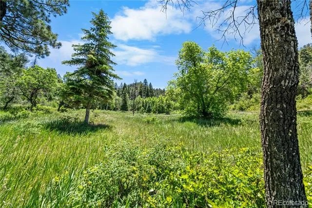 1134 Parelli Institute Drive Pagosa Springs, CO 81147