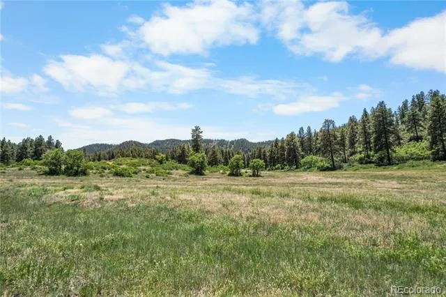 73 Parelli Institute Drive Pagosa Springs, CO 81147