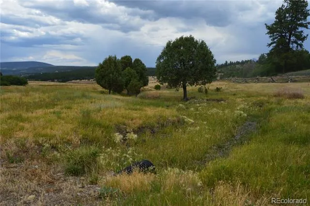 73 Parelli Institute Drive Pagosa Springs, CO 81147