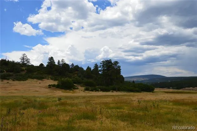 73 Parelli Institute Drive Pagosa Springs, CO 81147