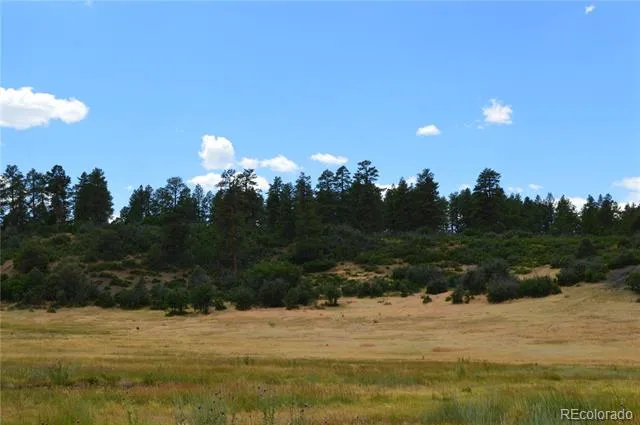 73 Parelli Institute Drive Pagosa Springs, CO 81147