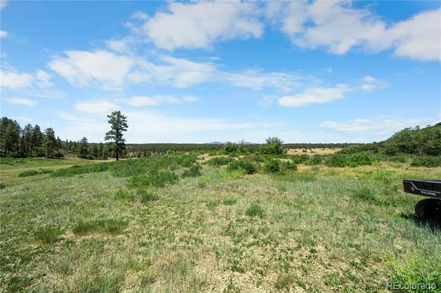 73 Parelli Institute Drive Pagosa Springs, CO 81147