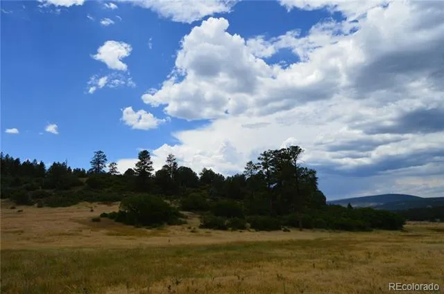 73 Parelli Institute Drive Pagosa Springs, CO 81147