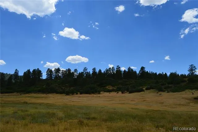 73 Parelli Institute Drive Pagosa Springs, CO 81147