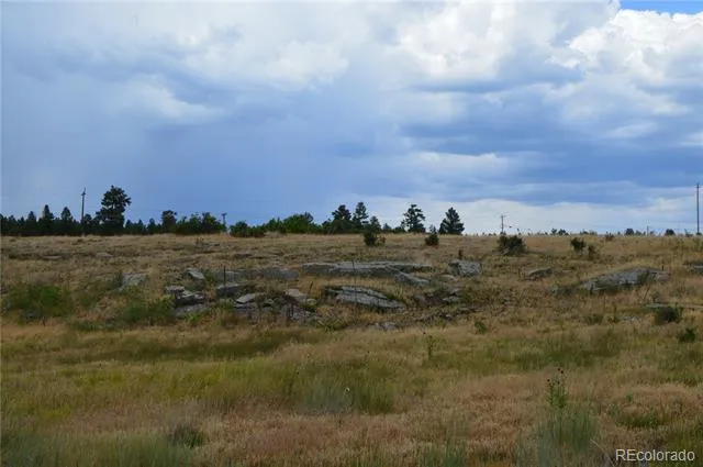 73 Parelli Institute Drive Pagosa Springs, CO 81147