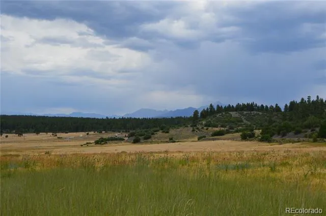 73 Parelli Institute Drive Pagosa Springs, CO 81147
