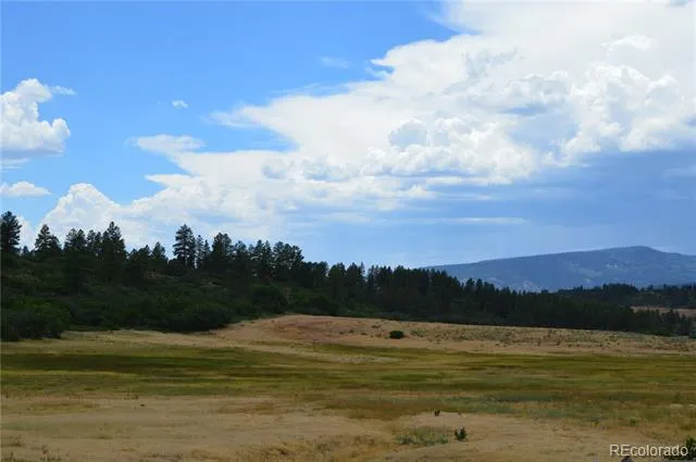 73 Parelli Institute Drive Pagosa Springs, CO 81147