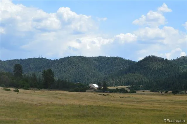 73 Parelli Institute Drive Pagosa Springs, CO 81147