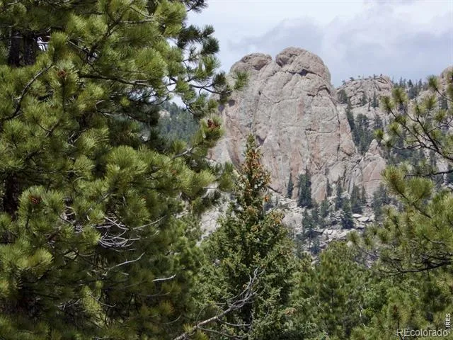 680 Findley Court Estes Park, CO 80517