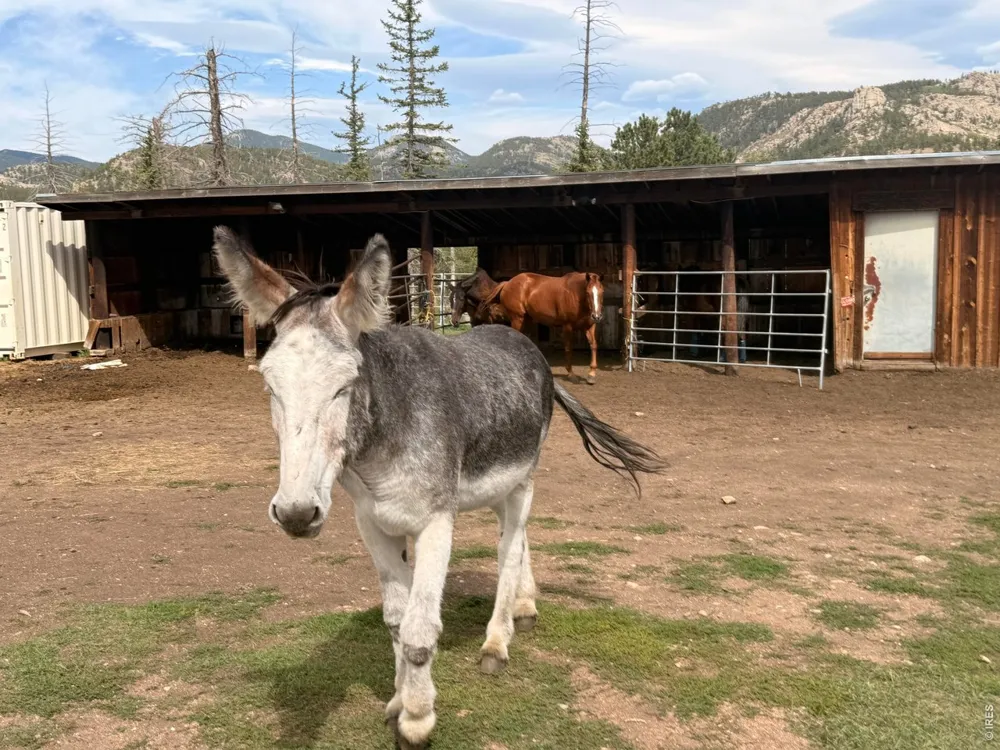 745 Hickory Drive Lyons, CO 80540