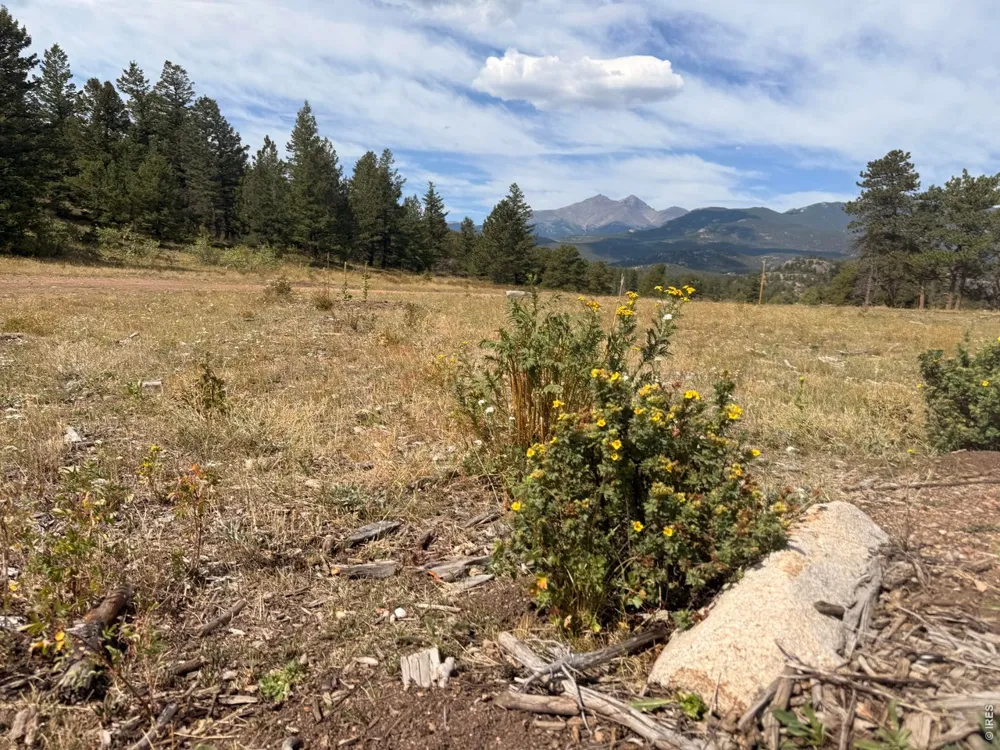 745 Hickory Drive Lyons, CO 80540
