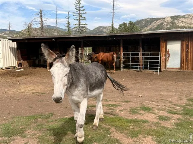 745 Hickory Drive Lyons, CO 80540