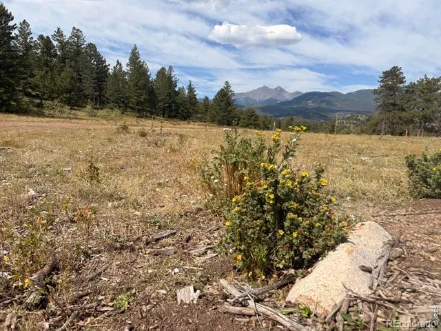 745 Hickory Drive Lyons, CO 80540