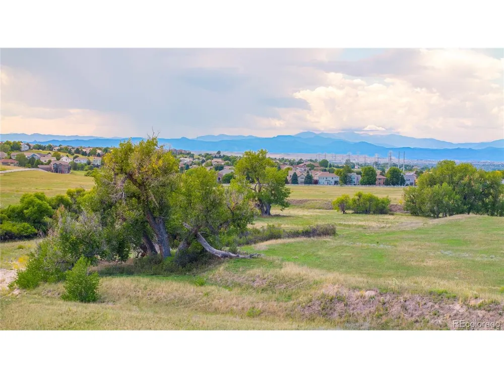 4 Tomahawk Road Parker, CO 80138