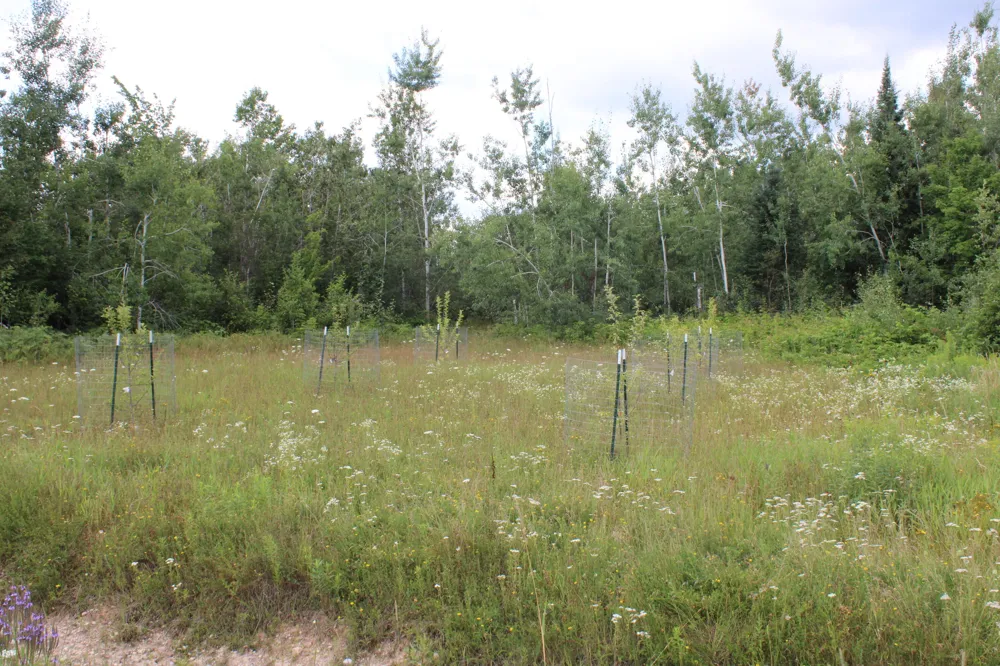 3250 Woiderski Road Cheboygan, MI 49721