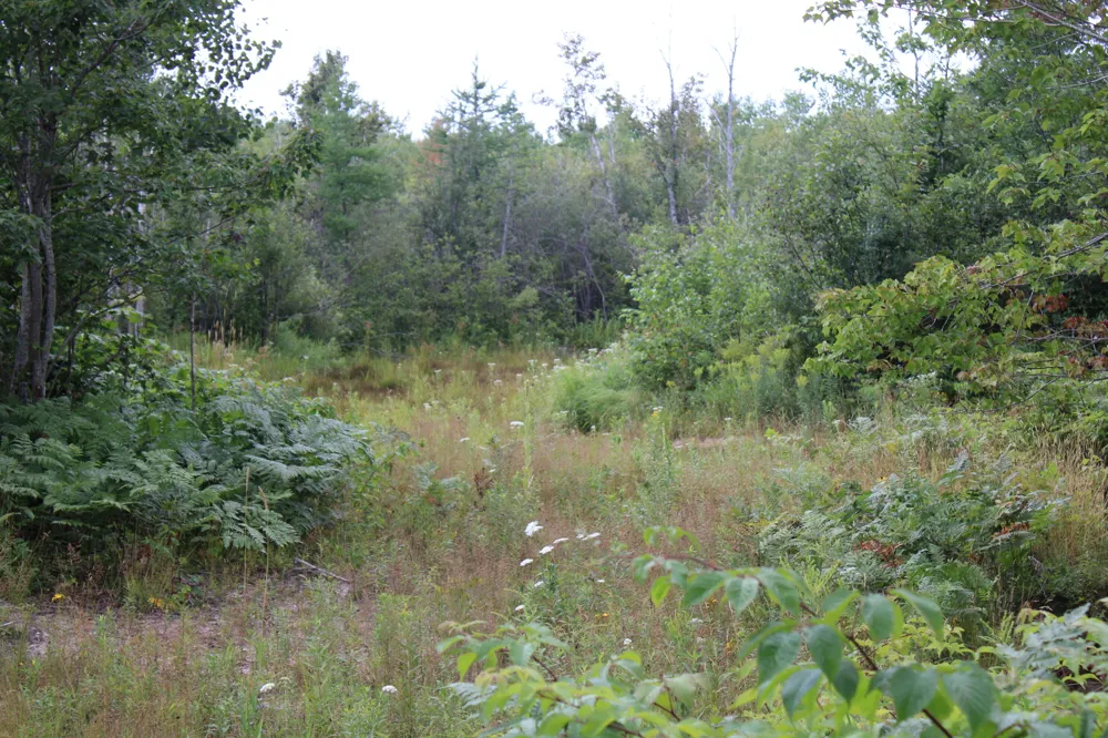3250 Woiderski Road Cheboygan, MI 49721