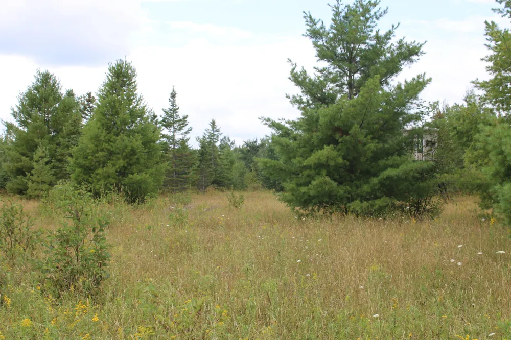 3250 Woiderski Road Cheboygan, MI 49721