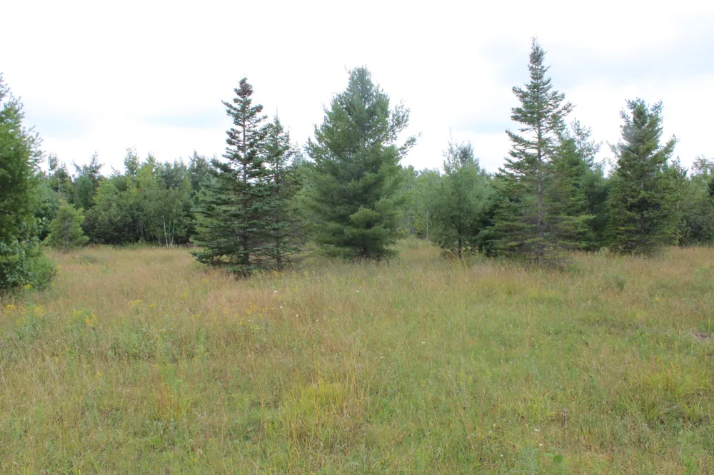 3250 Woiderski Road Cheboygan, MI 49721