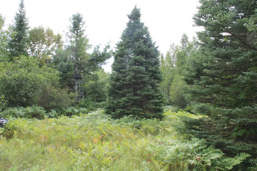 3250 Woiderski Road Cheboygan, MI 49721