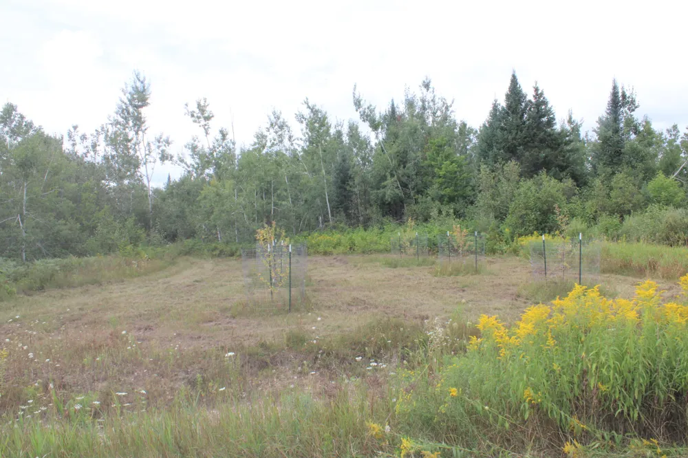 3250 Woiderski Road Cheboygan, MI 49721