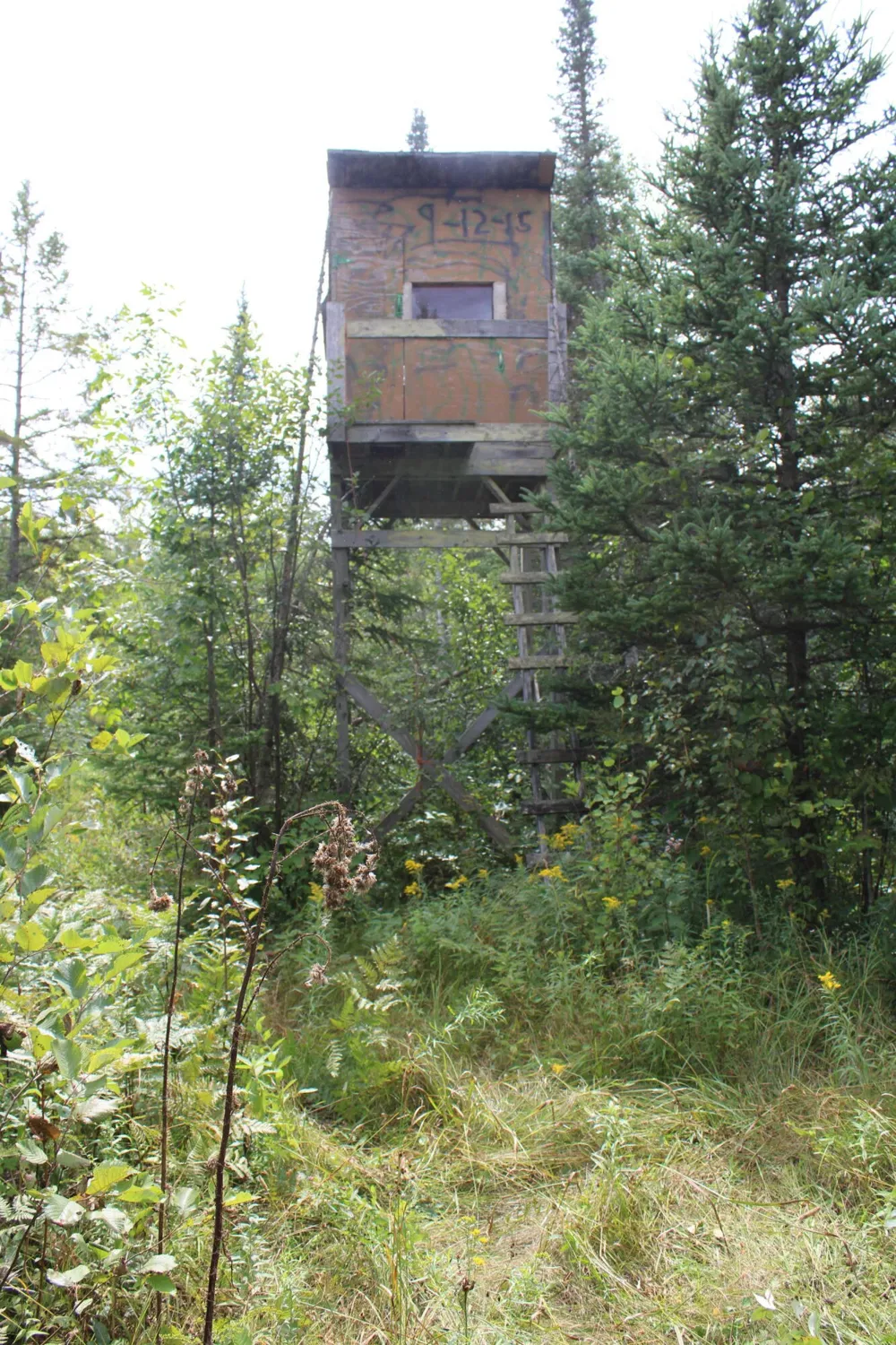 3250 Woiderski Road Cheboygan, MI 49721