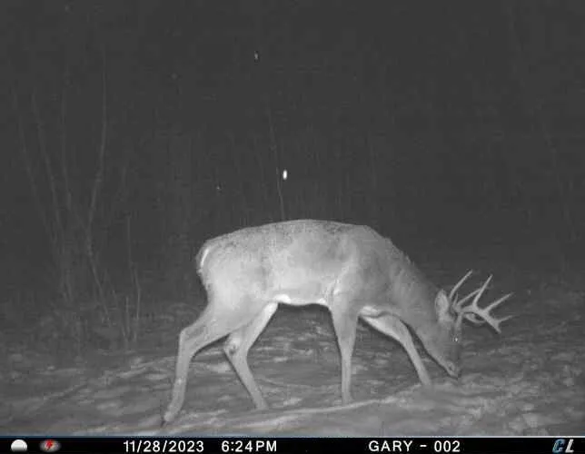 3250 Woiderski Road Cheboygan, MI 49721
