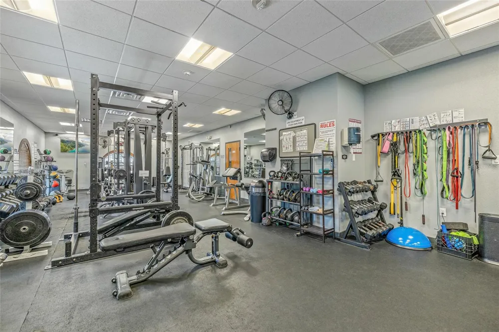 12942 UTOPIA GARDENS WAY Riverview, FL 33579