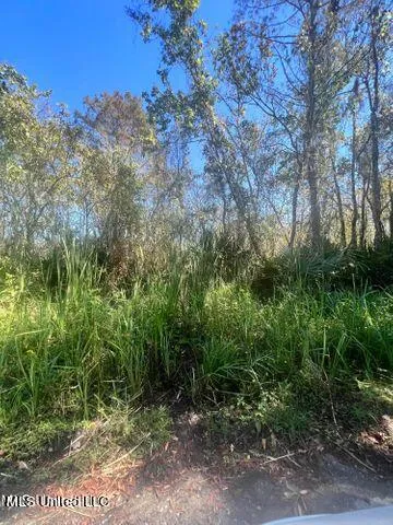 Cochran Avenue Moss Point, MS 39562