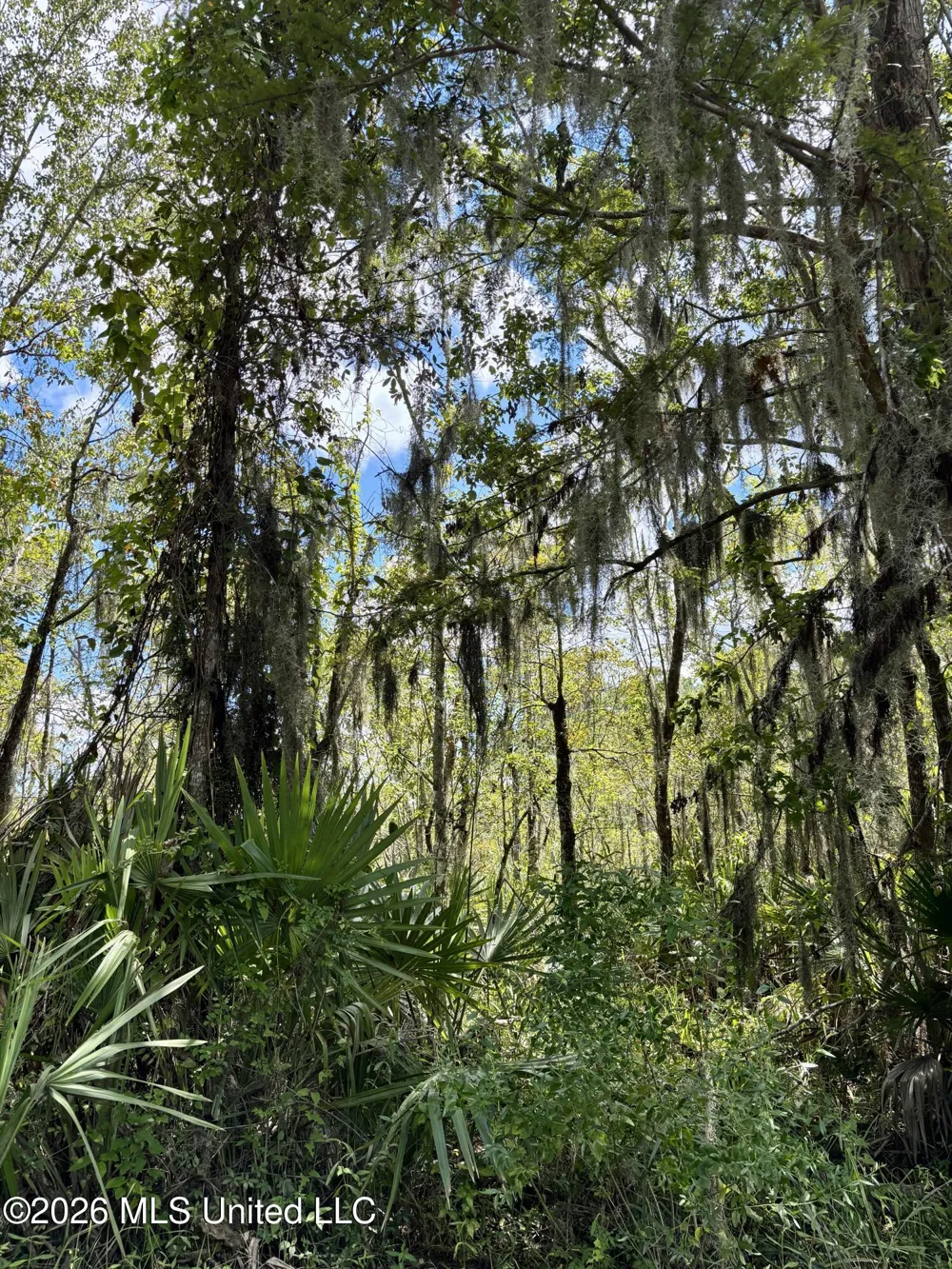 Cochran Avenue Moss Point, MS 39562