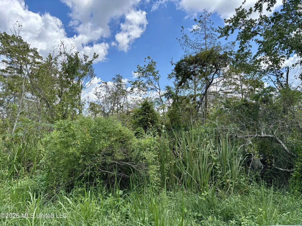 Cochran Avenue Moss Point, MS 39562