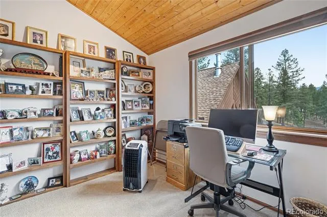 497 Woodside Drive Pine, CO 80470