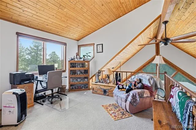 497 Woodside Drive Pine, CO 80470