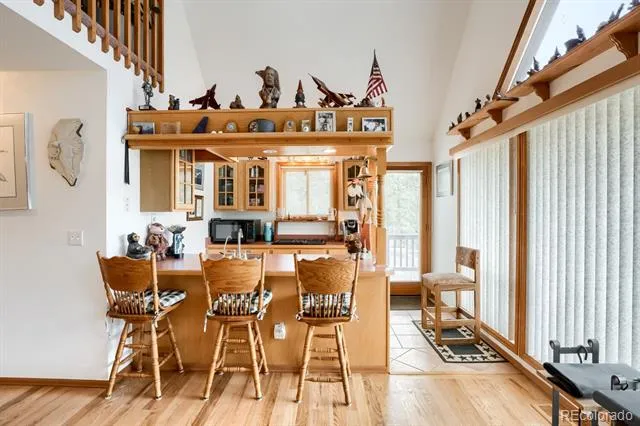497 Woodside Drive Pine, CO 80470