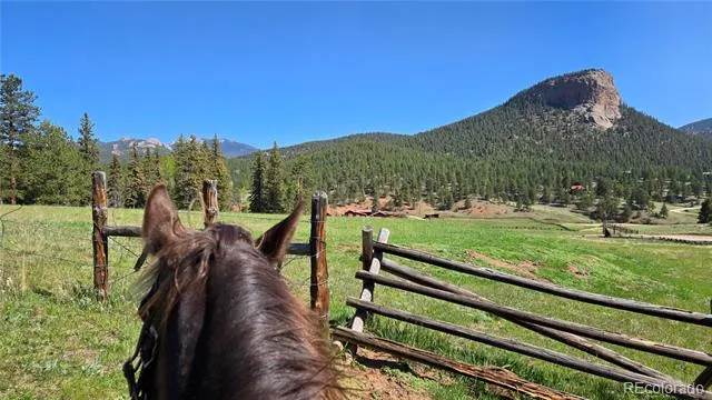 497 Woodside Drive Pine, CO 80470