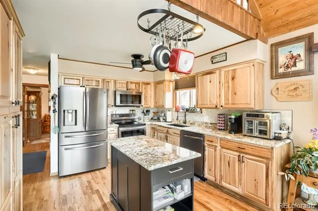 497 Woodside Drive Pine, CO 80470
