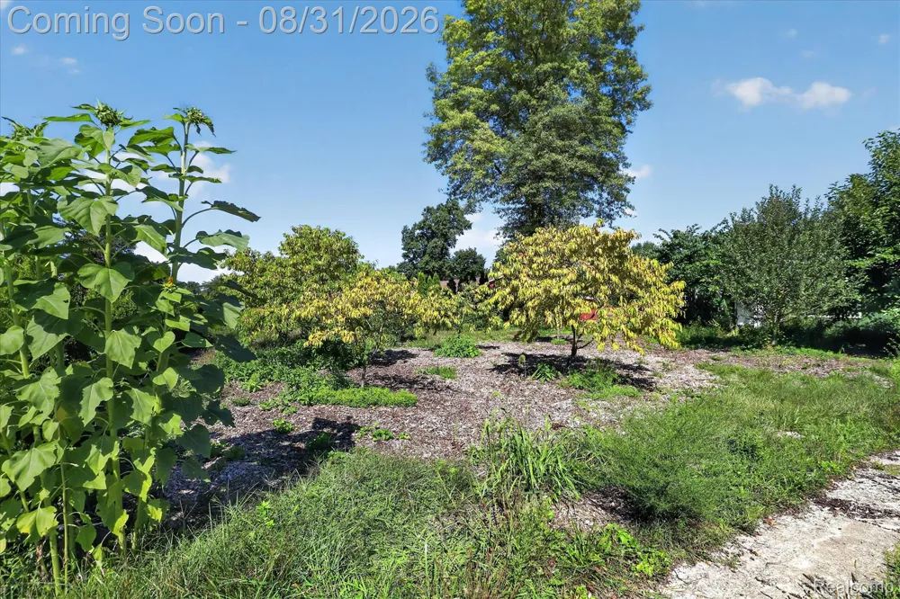 10165 Talladay Road Augusta Charter Township, MI 48191