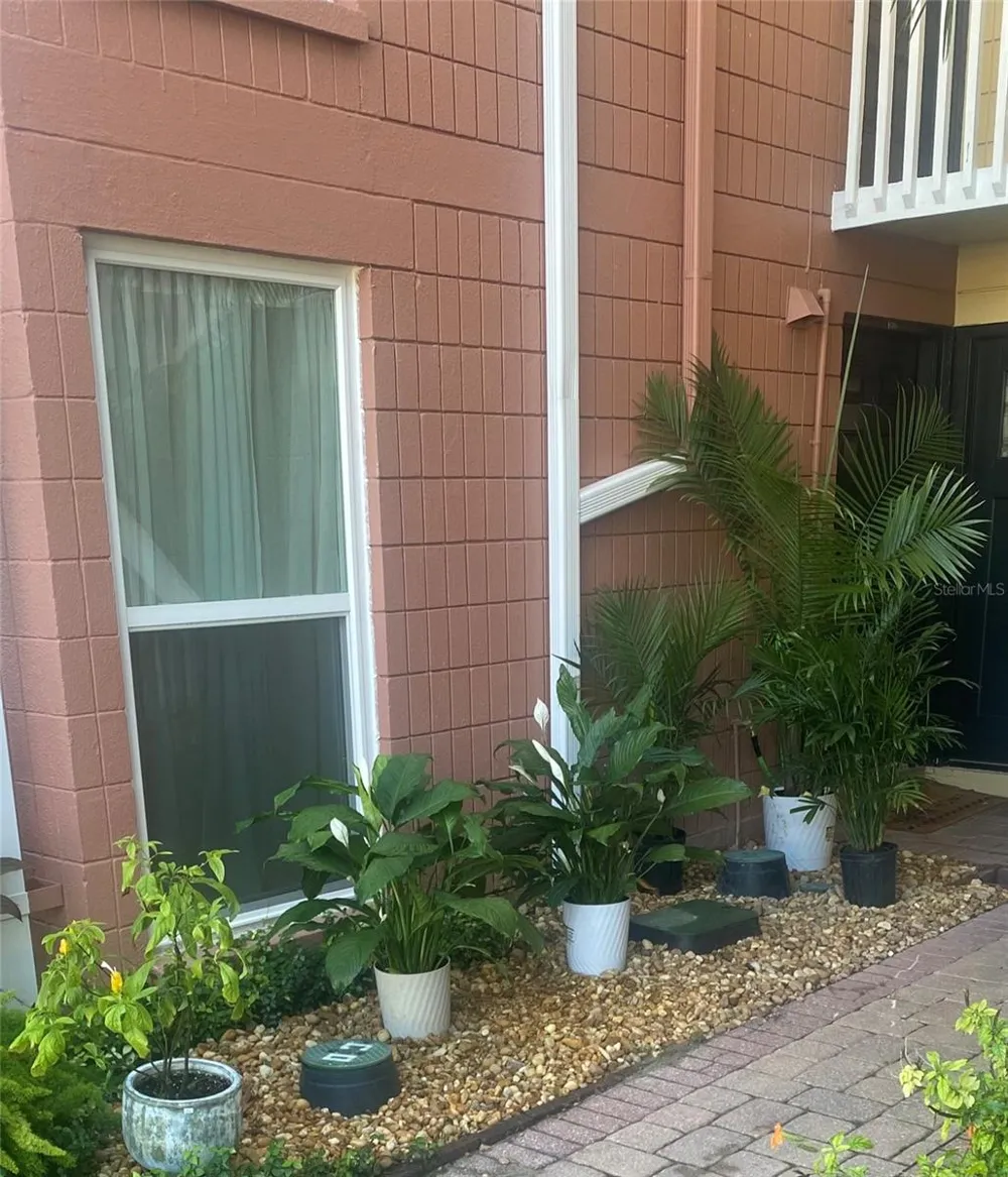 2424 W TAMPA BAY BOULEVARD #C103 Tampa, FL 33607