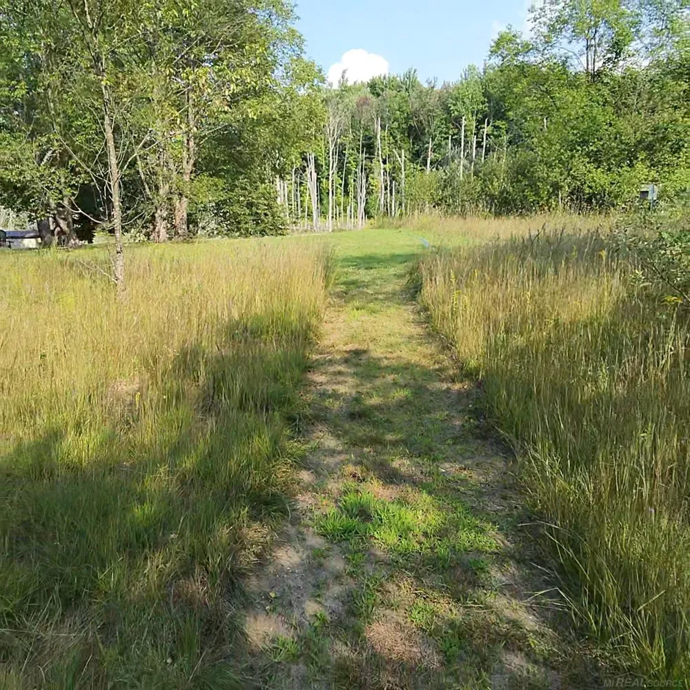 9796 Lake of the Woods rd Road Custer Township, MI 49659
