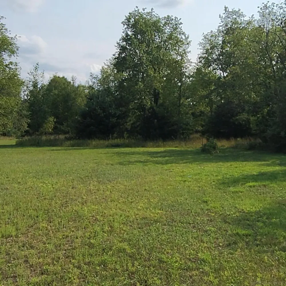 9796 Lake of the Woods rd Road Custer Township, MI 49659