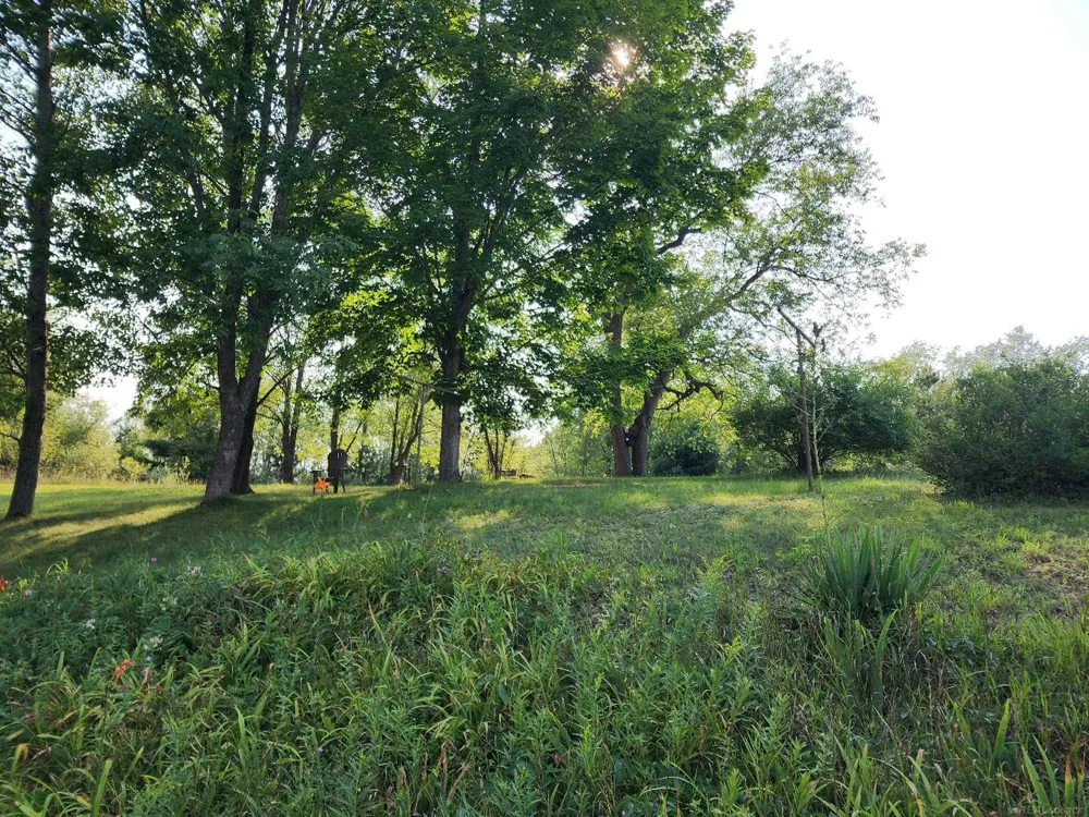 9796 Lake of the Woods rd Road Custer Township, MI 49659