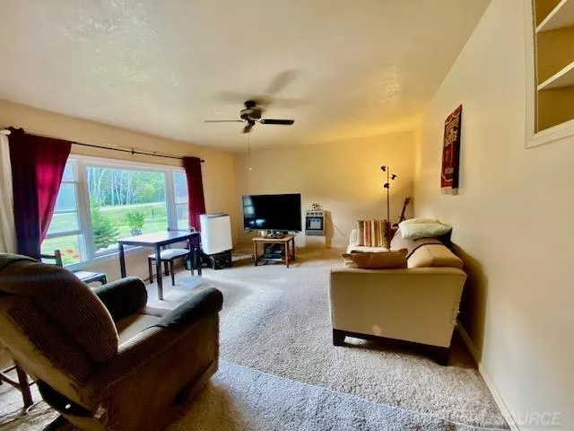 9796 Lake of the Woods rd Road Custer Township, MI 49659