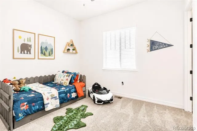 1365 Alyssa Drive Timnath, CO 80547