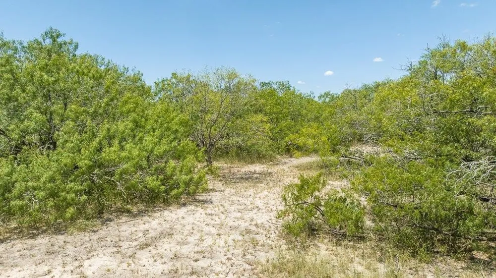 9223 County Road 2249 Sinton, TX 78387