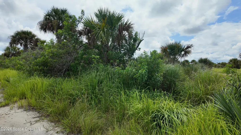 3362 Slimtwig Avenue SW Palm Bay, FL 32908