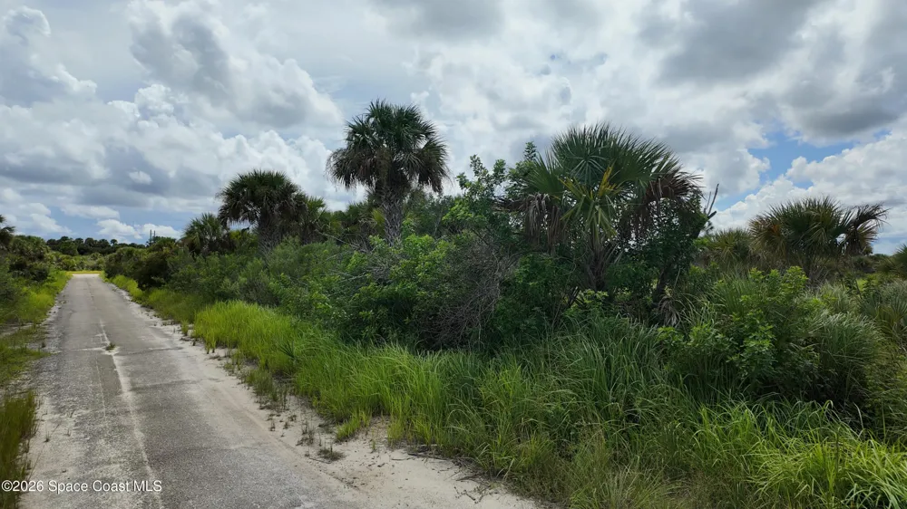 3362 Slimtwig Avenue SW Palm Bay, FL 32908